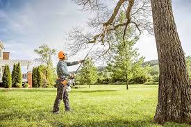 Best Emergency Tree Removal  in Edgerton, WI