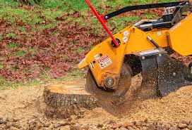 How Our Tree Care Process Works  in  Edgerton, WI