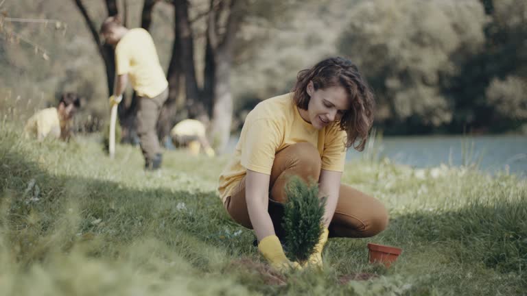 Lawn Drainage Solutions in Edgerton, WI