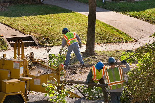 Best Tree Mulching  in Edgerton, WI